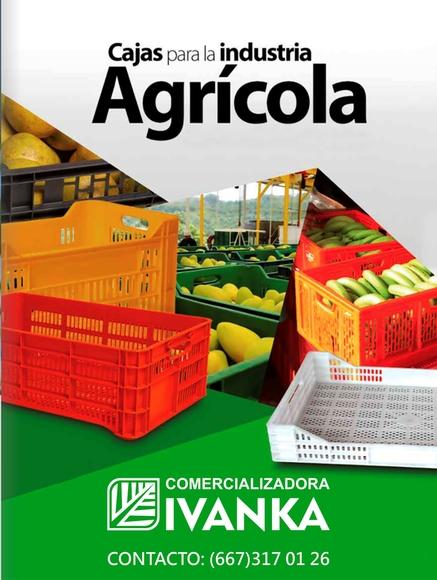 CAJAS AGRICOLAS