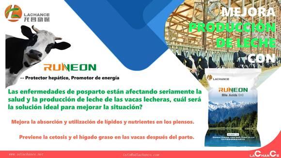 Innovador producto para mejorar el crecimiento de la produccion de leche