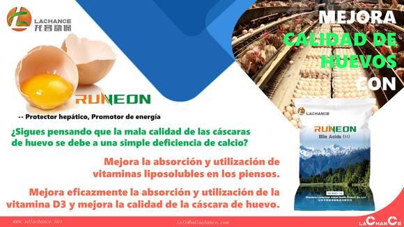 ¡Los ácidos biliares pueden aportar $ 100 más por día para sus granjas de ponedoras!
