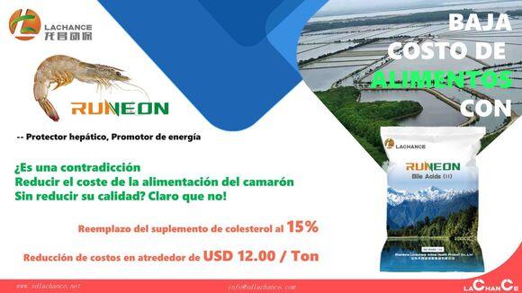 Runeon baja costos de alimentos