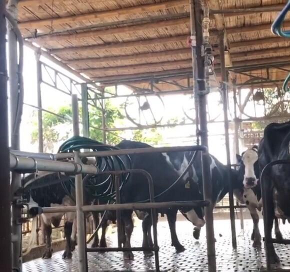 Ventilación y Aspersión