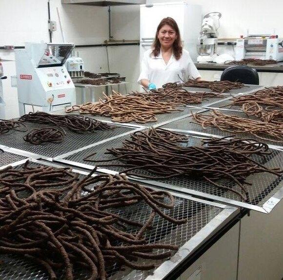 Extrusión de Café