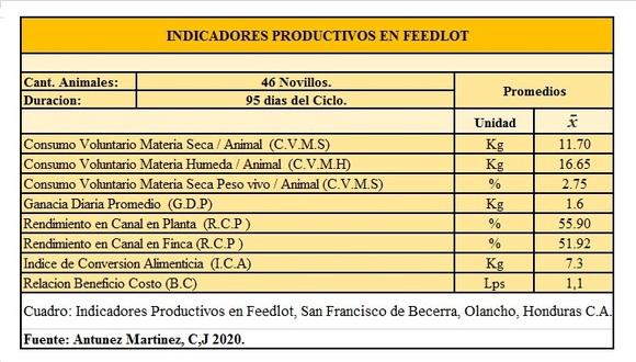 Resultados de indicadores productivos en feedlot.