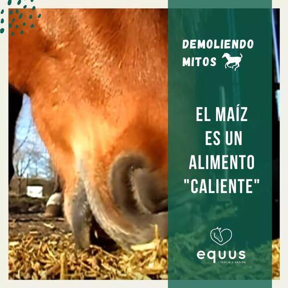 Demoliendo mitos - Nutrición