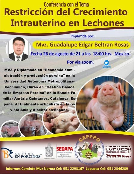 Restricción del Crecimiento intrauterino