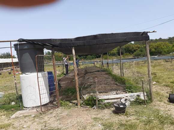 Lechos de Lombrices en Granja Verde