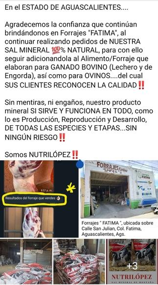 Sal mineral NUTRILÓPEZ