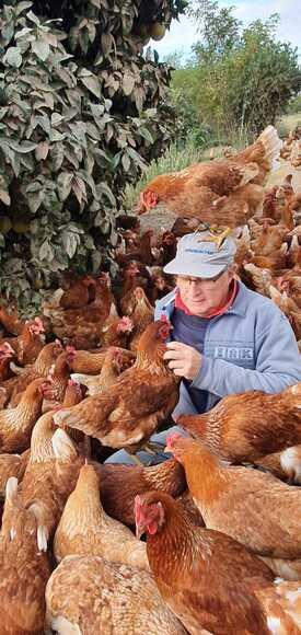 Granja Orgánica CooBiAgro. Pollo Agroecológico El Pato.