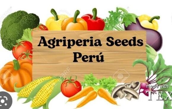 Agriperia