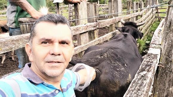Examinando vacas doble proposito