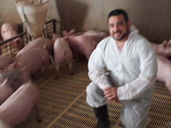 Recría - Inspección de trabajo