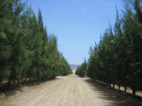 Entrada Fundo San Ramon de Deshidratadora Libertad SAC