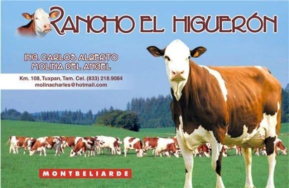 MONTBELIARDE