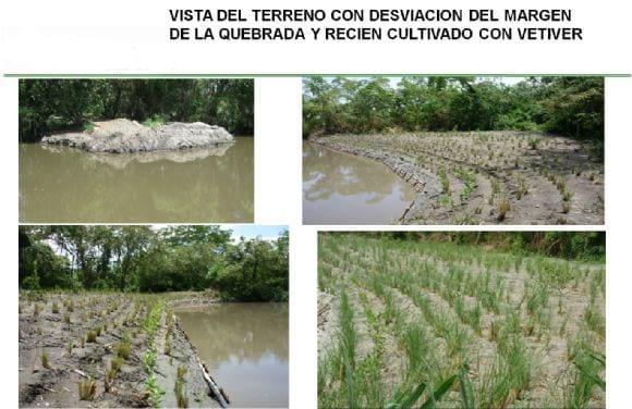 CONTROL DE EROSION QUE. SANTA ANA ESPINAL, TOLIMA, COLOMBIA