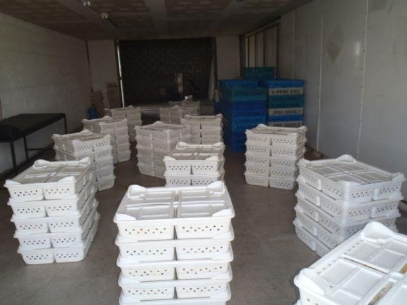 Cajas con BBs antes de ser cargados en el camion de transporte