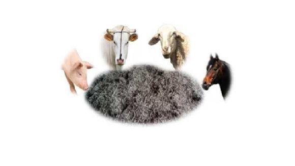 Pellets