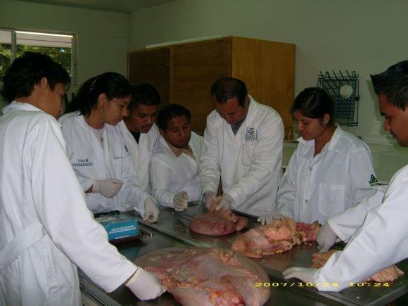 Prácticas Universidad