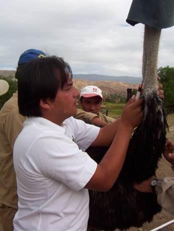 toma de muestras