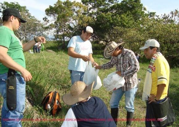 Practica de Pastos y Forrajes Tropicales
