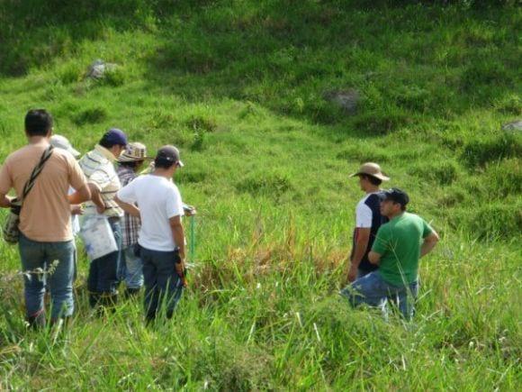 Practica de Pastos y Forrajes Tropicales