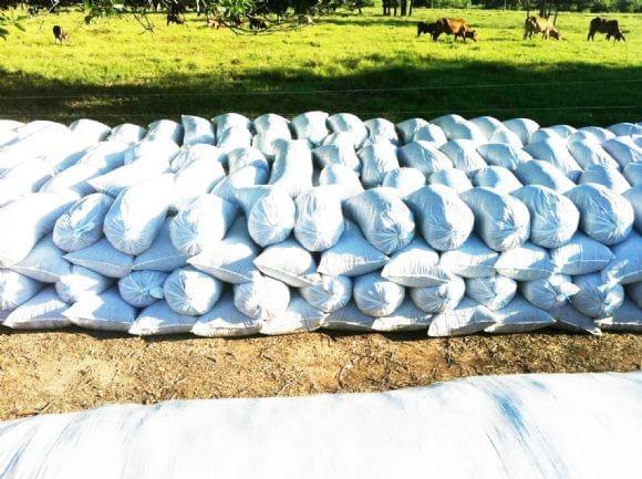 VENTA DE SILO DE MAÍZ - BUENAVISTA CORDOBA
