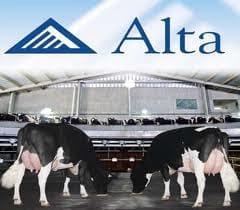 ALTA GENE