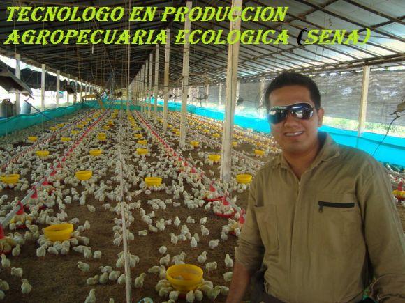 fotos