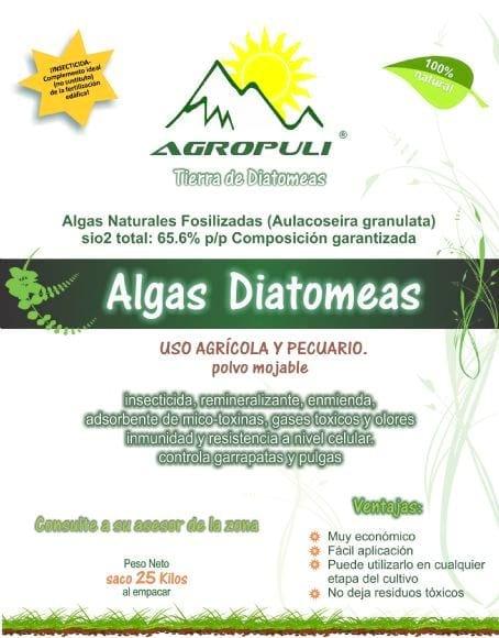 control de moscas con tierra de diatomeas