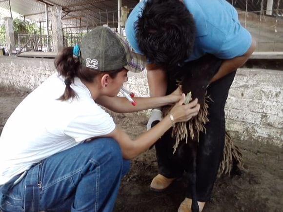 Extracción de sangre para prueba de TB