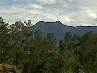 Pico del Gallo