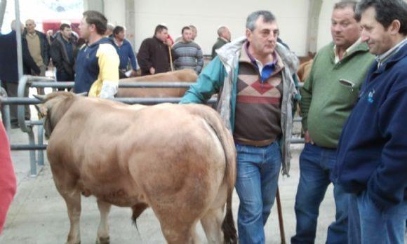 Feria de Ramos Cangas del Narcea