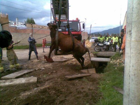 Unidad Veterinaria de Respuesta a Emergencias