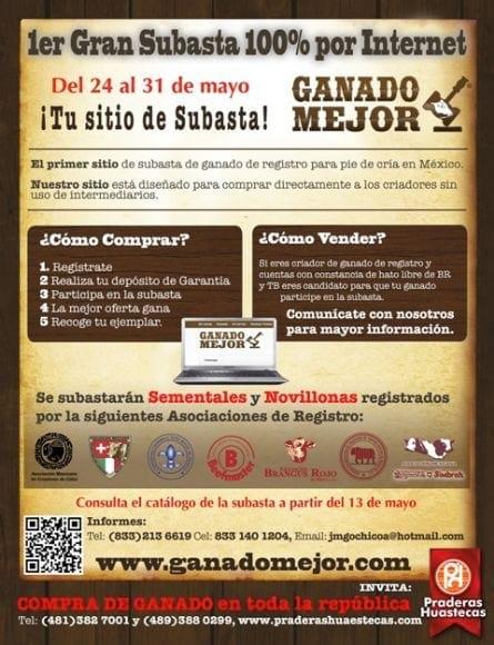 Subasta en linea Ganado Mejor