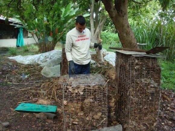 Compostadores ubicados en la unidad de cunicultura