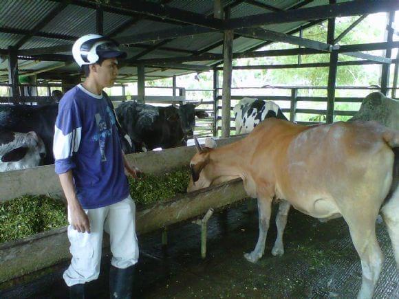 Practicas