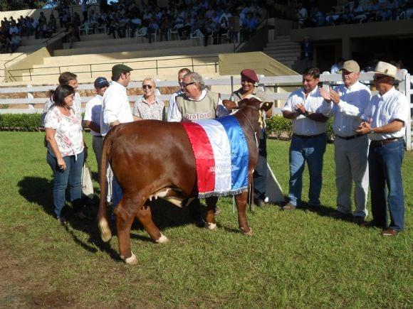 CAMPEON