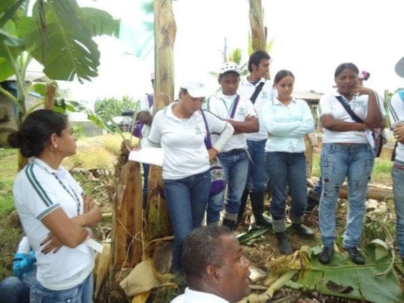 PRACTICAS AGRICOLAS