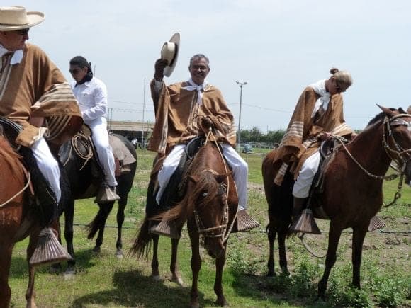 Caballo de Paso Peruano