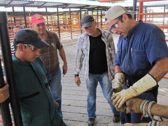 CURSO DE PODOLOGÍA