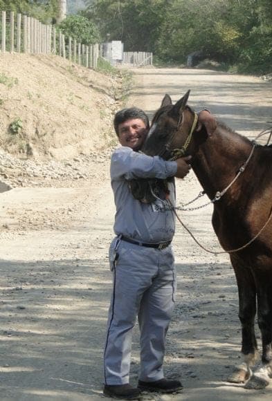disfrutando a los equinos