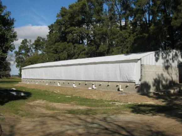 Fin de obra engorde-terminacion para 500 plazas