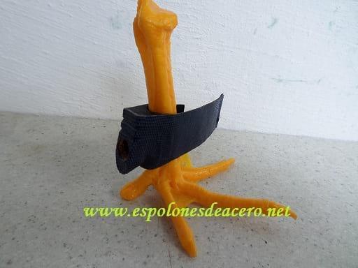 BOTANA YUNQUE CON VENTAJA