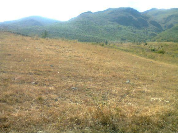 Panoramica