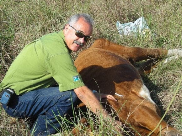 SUERO EN RANCHO GUADALUPE