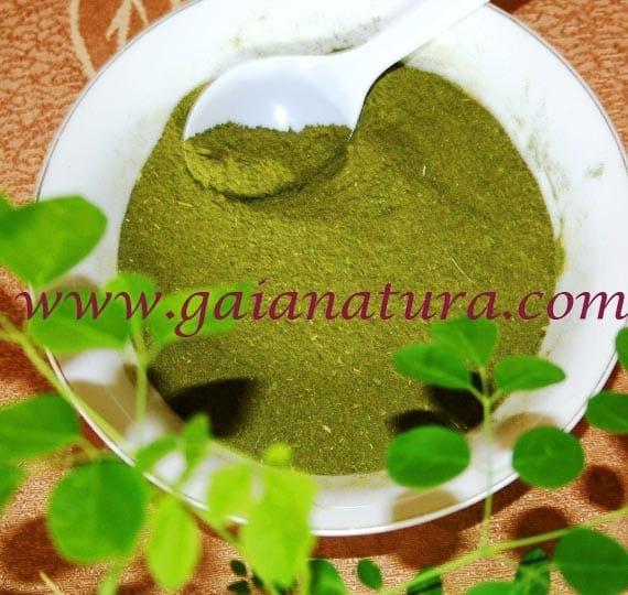 Polvo de Moringa Productos Gaia Natura