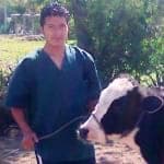 Ganaderia