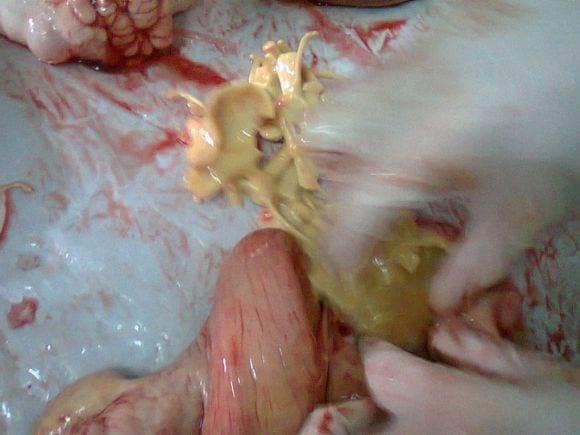 Curso de Tacto