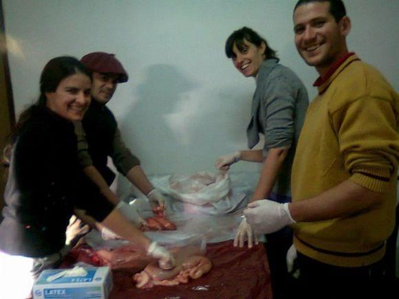 Curso de Tacto