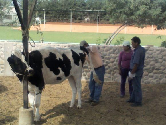 asesoramiento