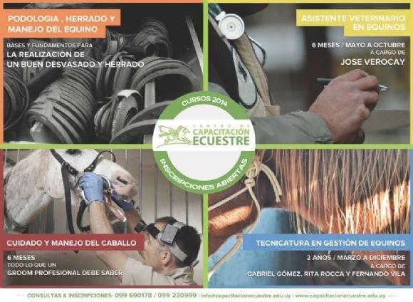 Cursos Ecuestres 2014